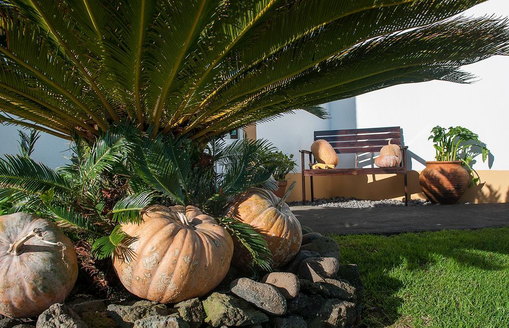 Vila Belgica Bed and Breakfast Horta  Εξωτερικό φωτογραφία